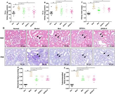 Diphenyl diselenide protects against diabetic kidney disease through modulating gut microbiota dysbiosis in streptozotocin-induced diabetic rats